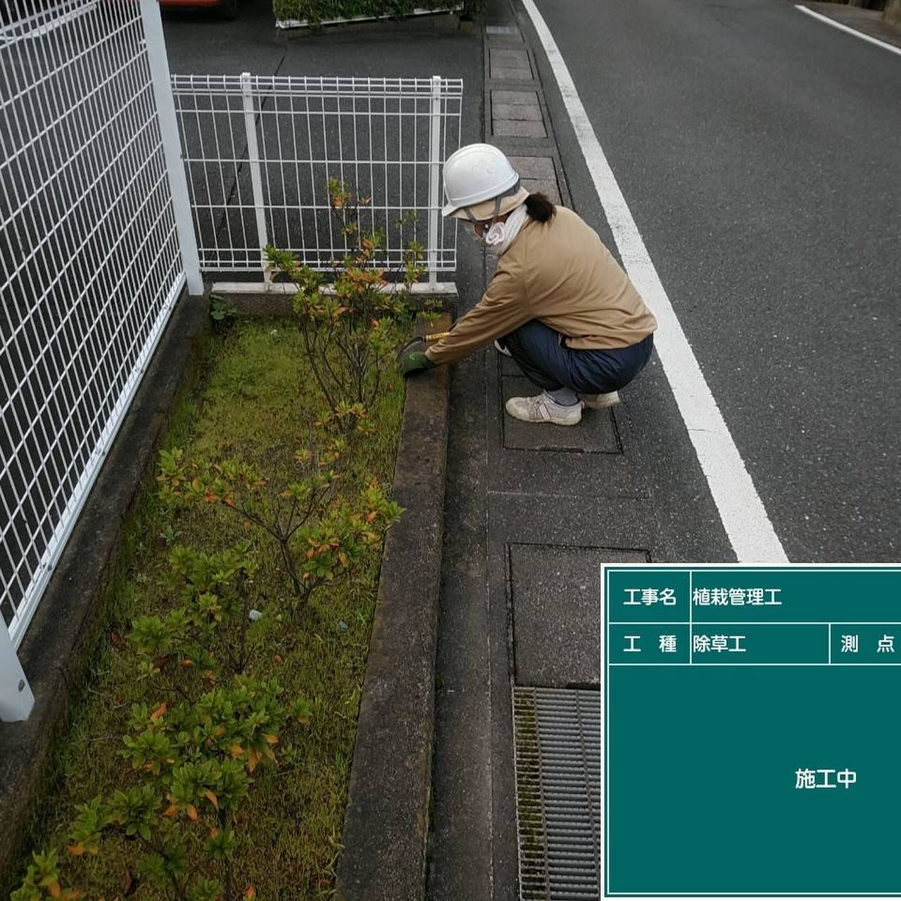 今年最後のマンションの植栽管理が完了しました！🌿✨今回はみん...