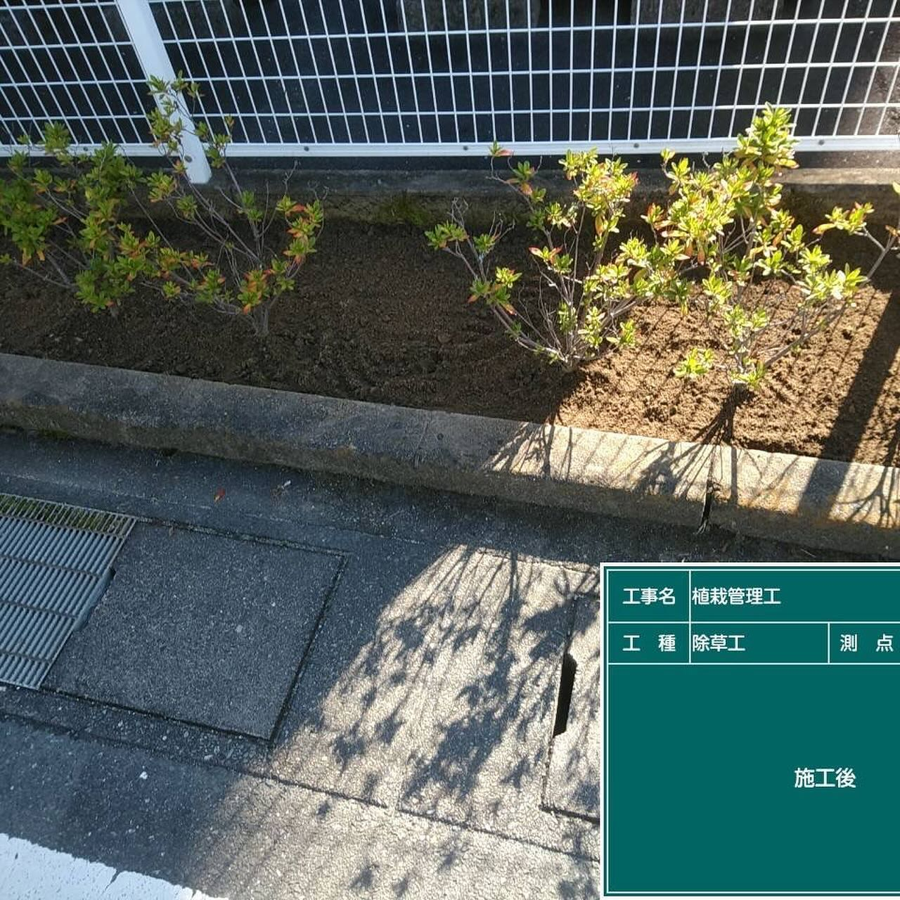 今年最後のマンションの植栽管理が完了しました！🌿✨今回はみん...