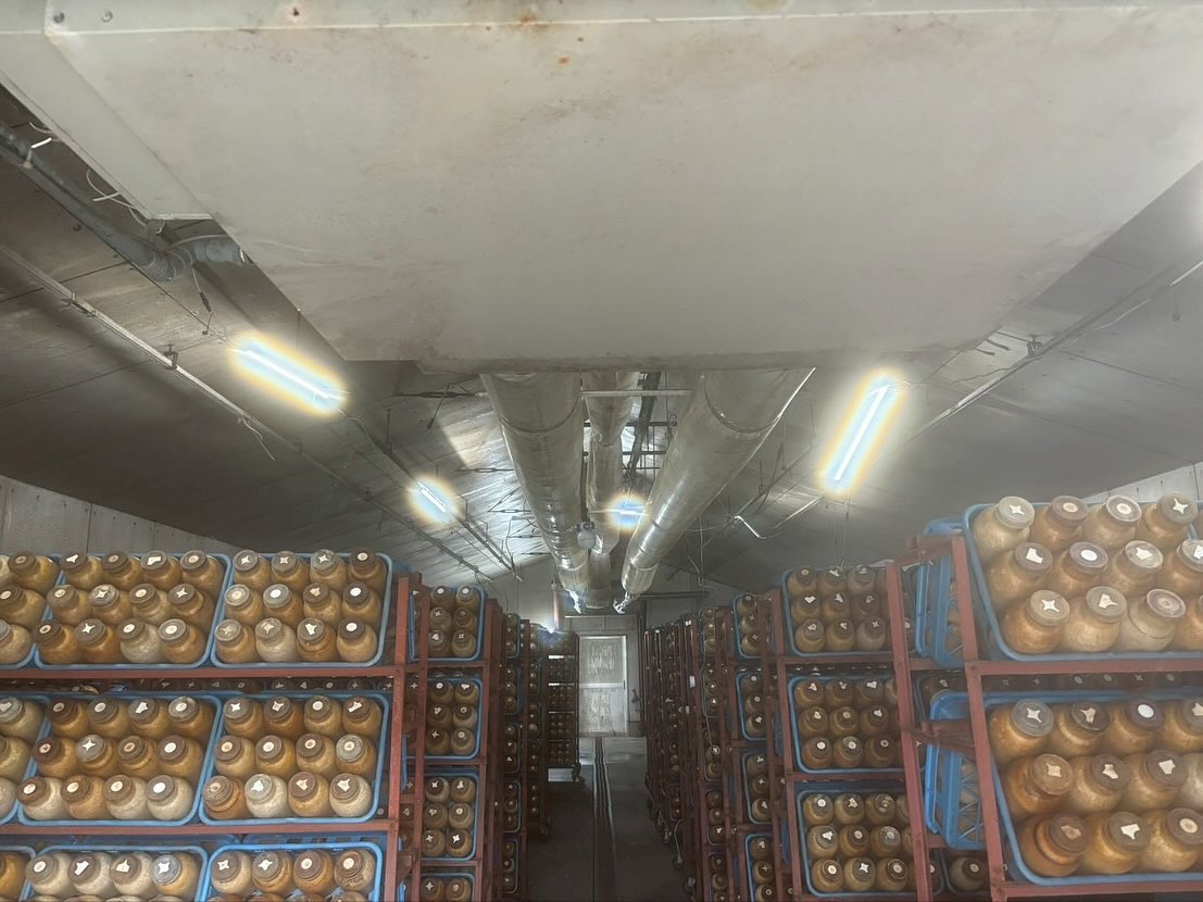 今回の電気工事は工場の照明器具交換です。