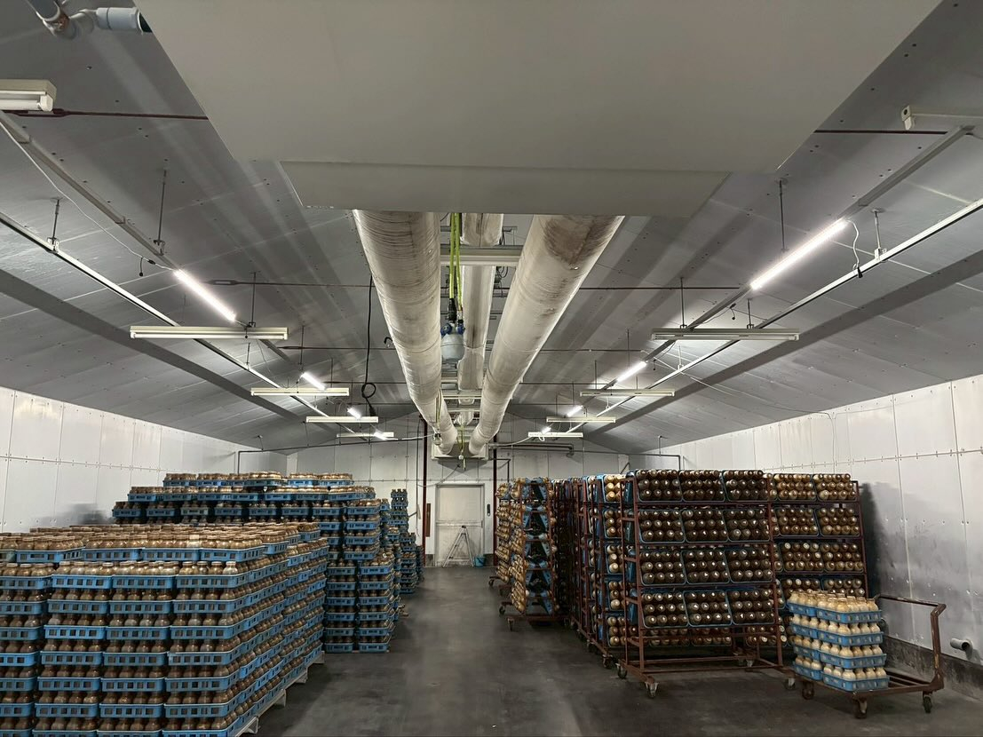 今回の電気工事は工場の照明器具交換です。