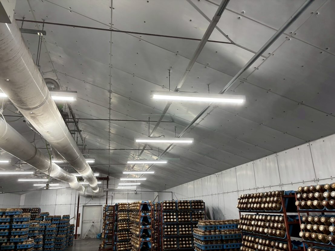 今回の電気工事は工場の照明器具交換です。