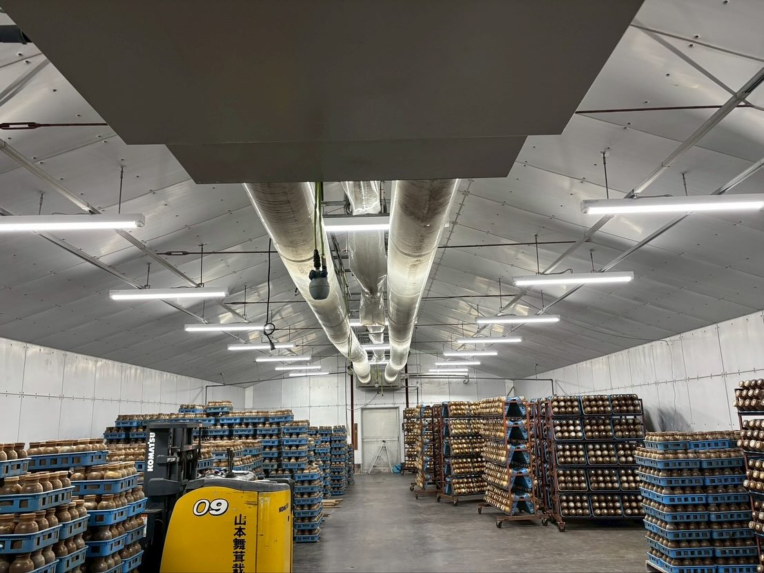 今回の電気工事は工場の照明器具交換です。