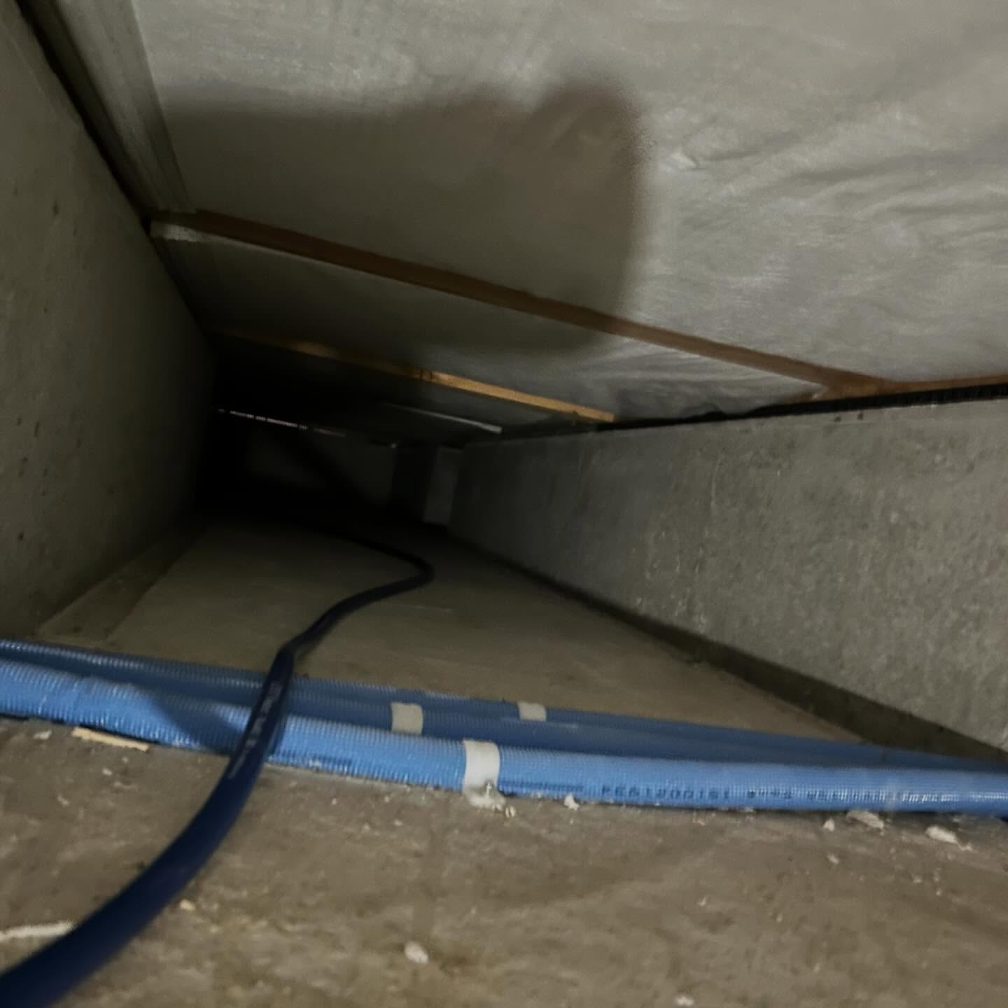 シロアリ予防してますか？🐜