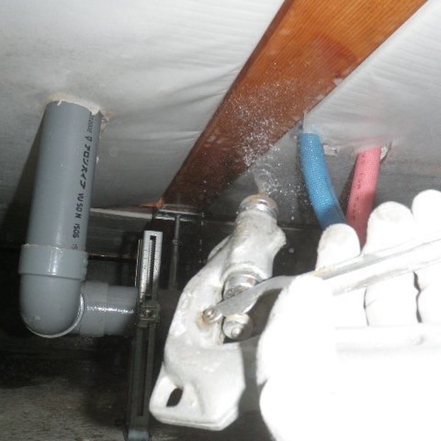 シロアリ予防してますか？🐜